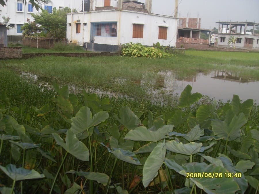 1-.-6-Katha-Plot-Chawrash-Kushtia-5